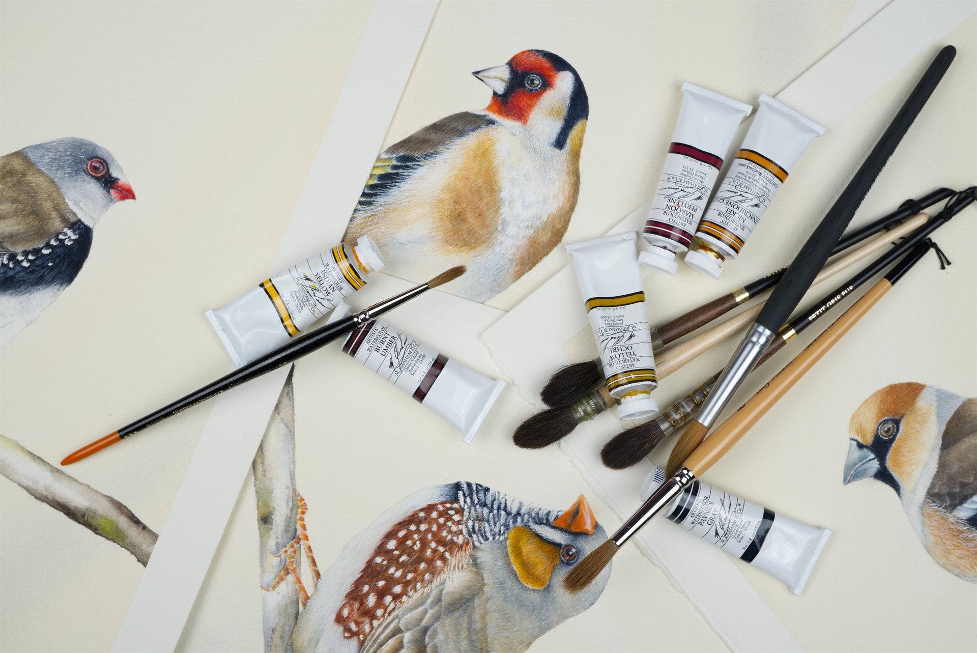 Watercolour brushes and M. Graham watercolour paints scattered on the staggered artworks from The Finch Collection by Haidi Hildemore.