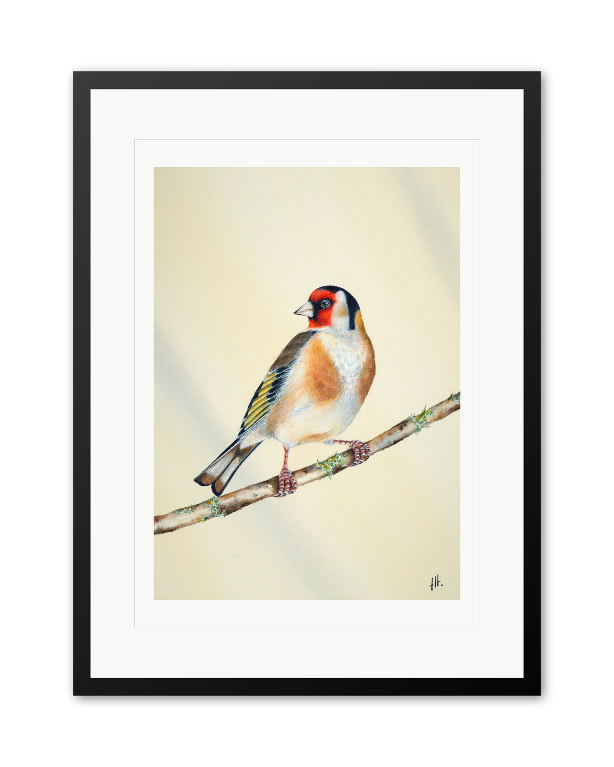 Goldfinch - In the Morning Light, contemporary watercolour bird by Haidi Hildemore. A limited edition print on Hahnemühle German Etching, window mounted in a black frame.