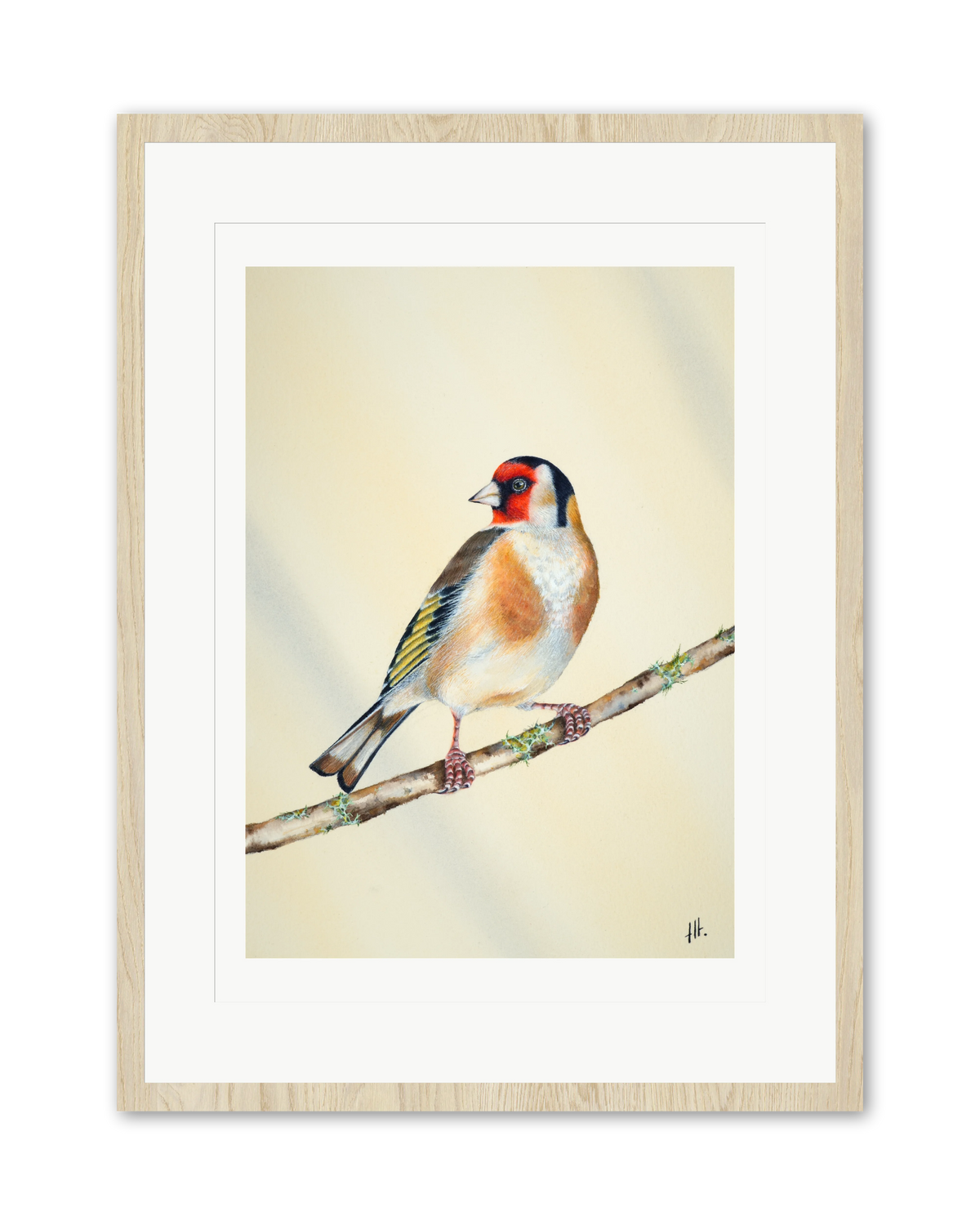 Goldfinch - In the Morning Light, contemporary watercolour bird by Haidi Hildemore. A limited edition print on Hahnemühle German Etching, window mounted in an oak frame.