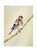 Goldfinch - Seconds of Reflection, contemporary watercolour bird by Haidi Hildemore. Digital preview of the limited edition print.