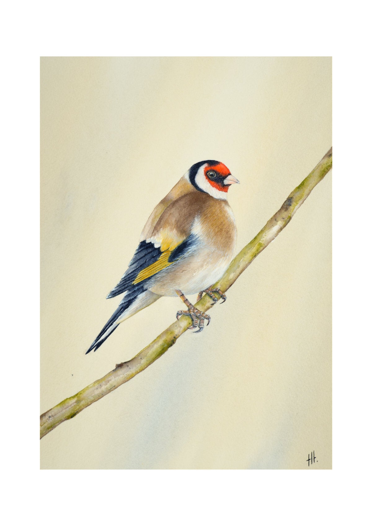 Goldfinch - Seconds of Reflection, contemporary watercolour bird by Haidi Hildemore. Digital preview of the limited edition print.
