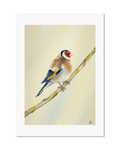 Goldfinch - Seconds of Reflection, contemporary watercolour bird by Haidi Hildemore. A limited edition print on Hahnemühle German Etching, unframed with a white border.