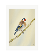 Goldfinch - Seconds of Reflection, contemporary watercolour bird by Haidi Hildemore. A limited edition print on Hahnemühle German Etching, unframed with a white border.