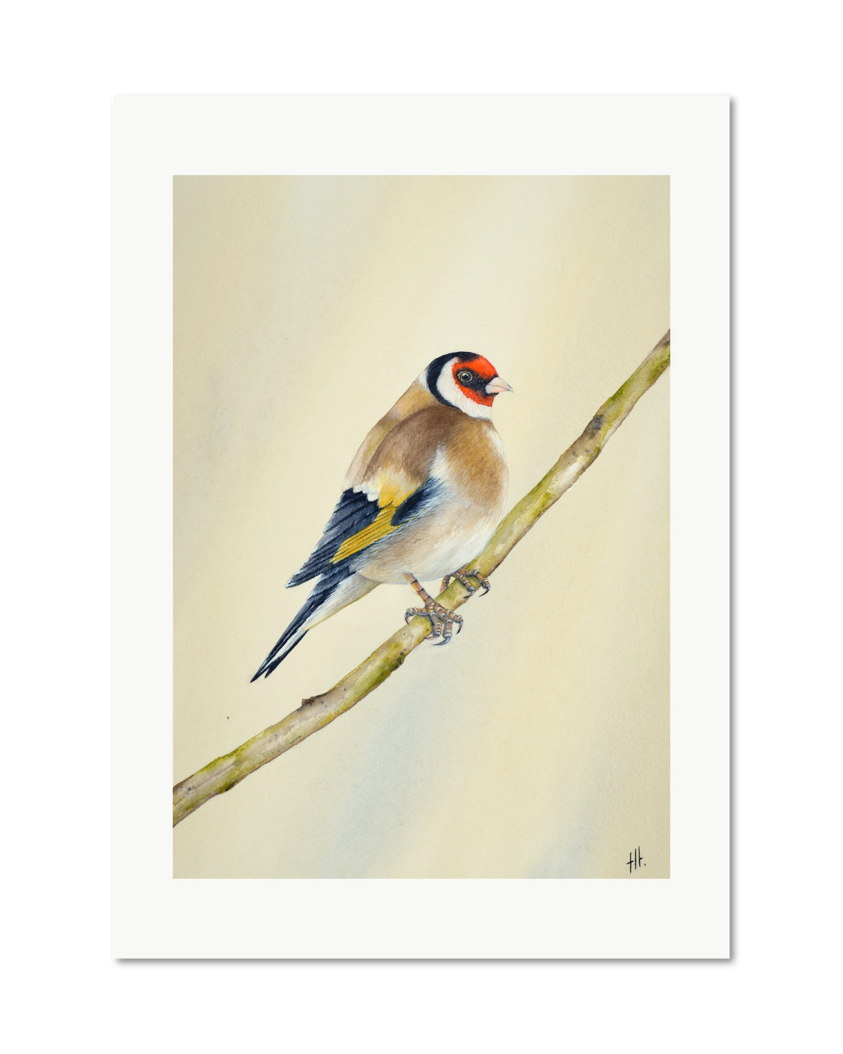 Goldfinch - Seconds of Reflection, contemporary watercolour bird by Haidi Hildemore. A limited edition print on Hahnemühle German Etching, unframed with a white border.