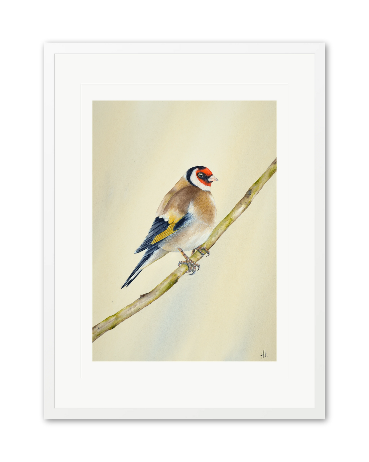 Goldfinch - Seconds of Reflection, contemporary watercolour bird by Haidi Hildemore. A limited edition print on Hahnemühle German Etching, window mounted in a white frame.