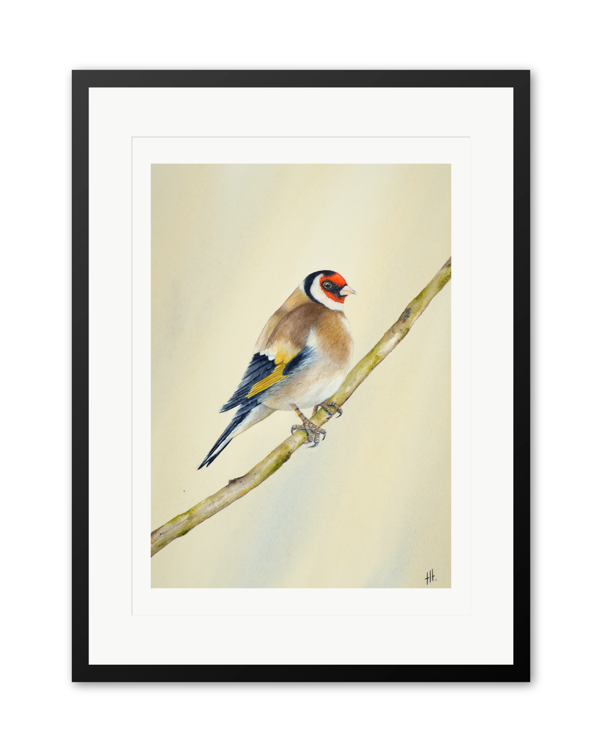 Goldfinch - Seconds of Reflection, contemporary watercolour bird by Haidi Hildemore. A limited edition print on Hahnemühle German Etching, window mounted in a black frame.
