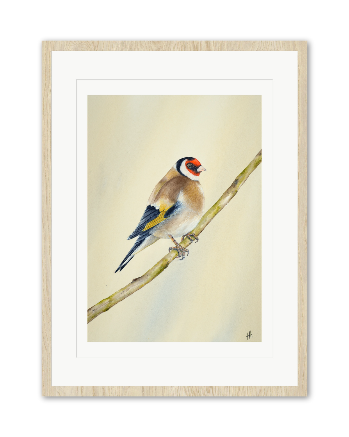 Goldfinch - Seconds of Reflection, contemporary watercolour bird by Haidi Hildemore. A limited edition print on Hahnemühle German Etching, window mounted in an oak frame.