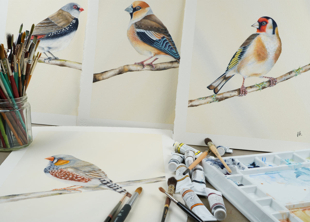 Upright and flat studio display of pieces from The Finch Collection by Haidi Hildemore, alongside brushes and M. Graham watercolour paints.